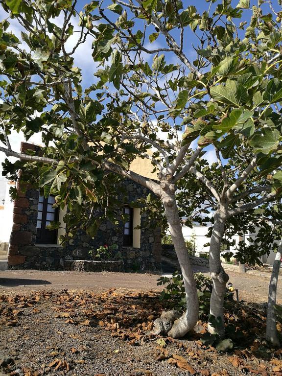 Casa Rural Domingo Pio Echedo Kültér fotó